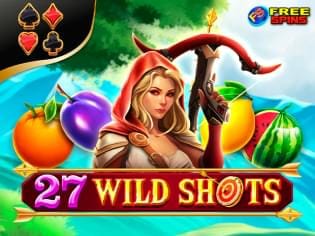27 Wild Shots screenshot