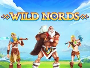 Wild Nords screenshot